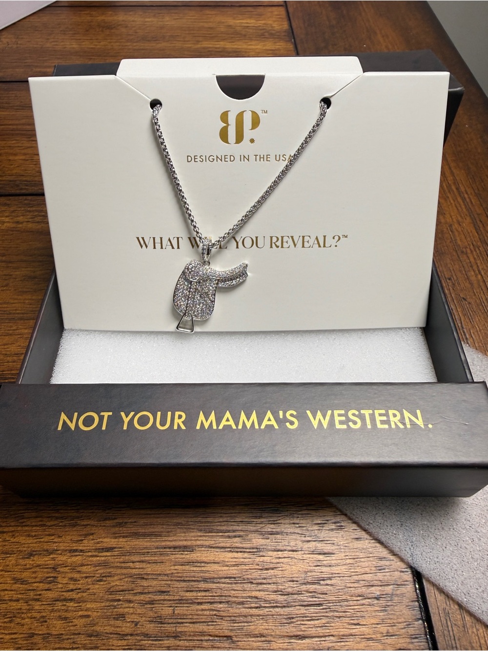 Outlaw NK44027 Rhodium Plated CZ Pendant Necklace Removable Western 18"